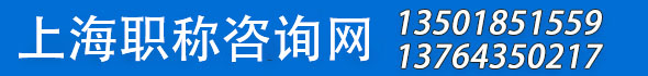 上海职称咨询网